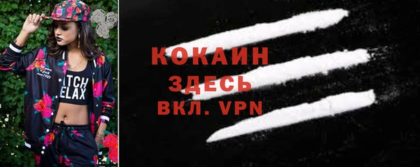 тгк Алзамай