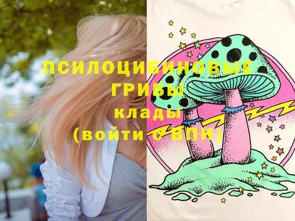 тгк Алзамай