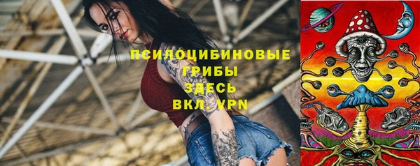 ГАЛЛЮЦИНОГЕННЫЕ ГРИБЫ Алексеевка