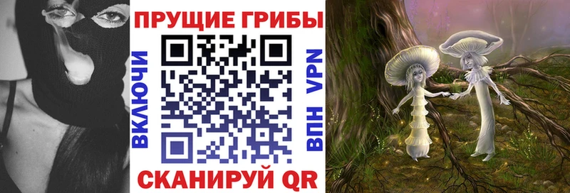 цена   Боровичи  Галлюциногенные грибы GOLDEN TEACHER 
